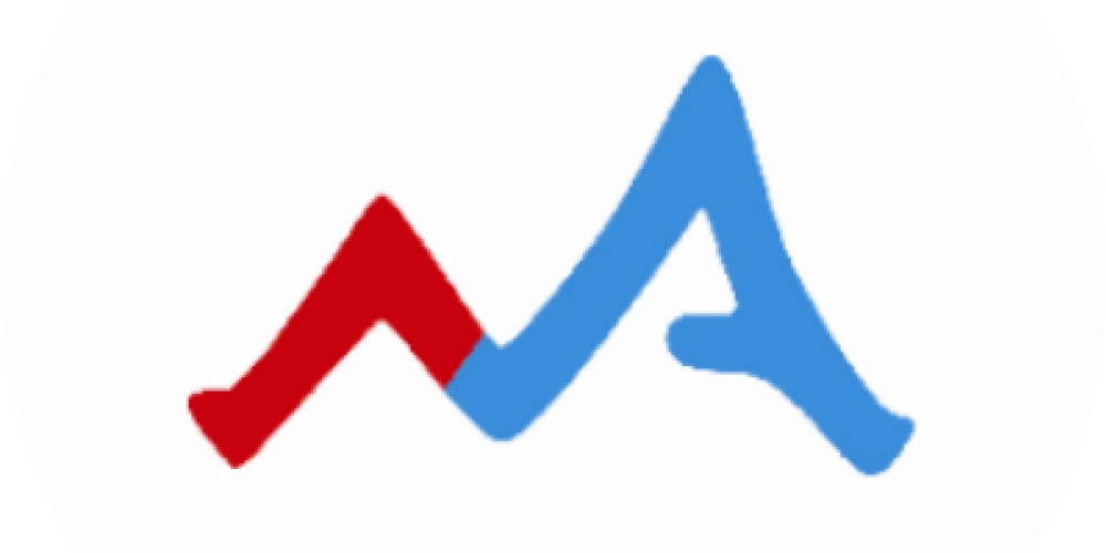 NET Assets Management